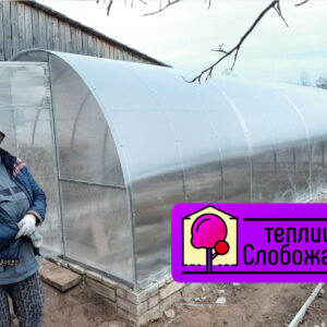 Теплица «Титан»